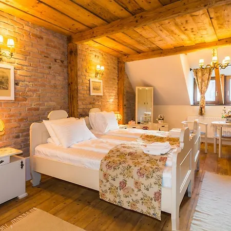 Guest house Casa Savri Sighisoara