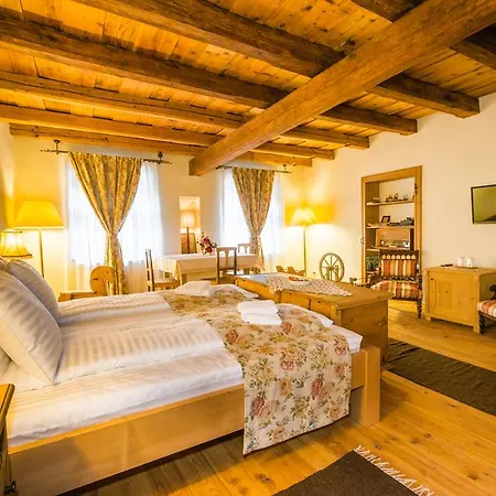 Casa Savri Sighisoara