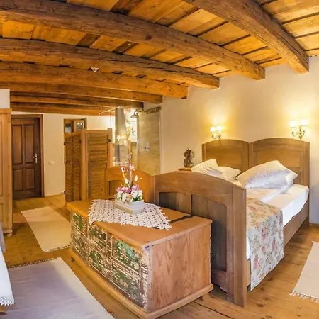 Guest house Casa Savri Sighisoara